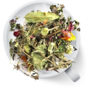 02 АЛТАЙСКАЯ ПРОДУКЦИЯ, СБОРЫ